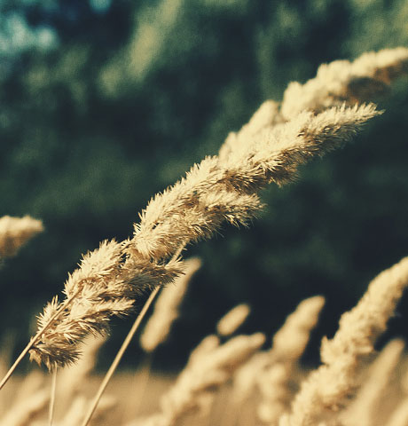 短信轰在线轰炸免费